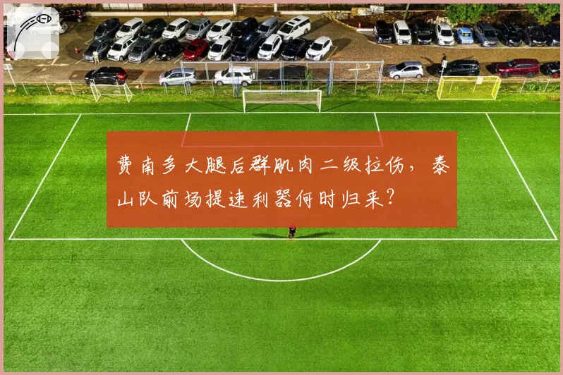 费南多大腿后群肌肉二级拉伤，泰山队前场提速利器何时归来？