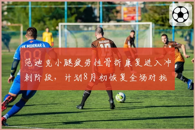 范迪克小腿疲劳性骨折康复进入冲刺阶段，计划8月初恢复全场对抗